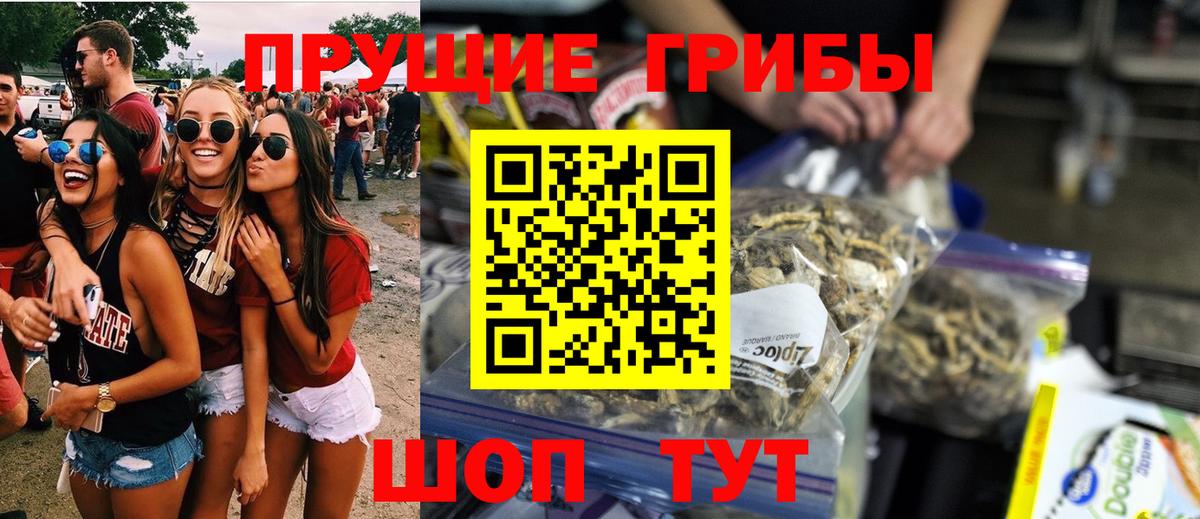 Псилоцибиновые грибы Magic Shrooms  Вход с VPN  Грязи  Псилоцибиновые грибы GOLDEN TEACHER 